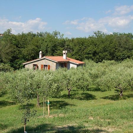 Olivahouse Villa Марезиге Екстериор снимка