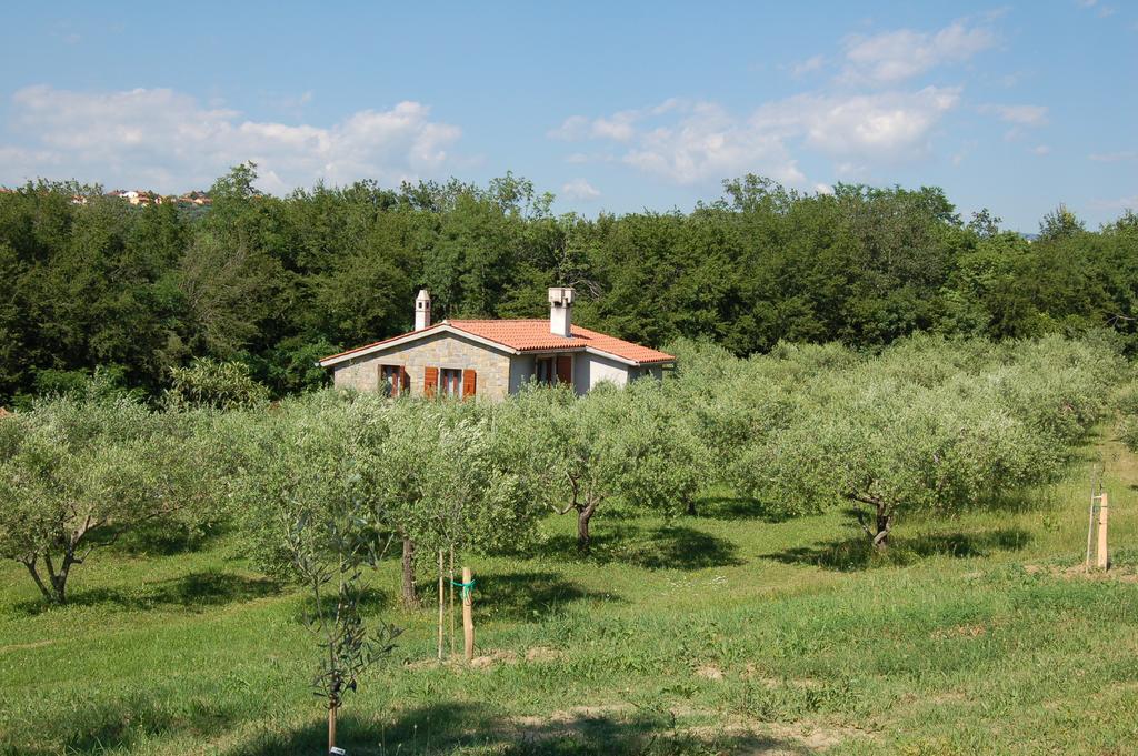 Olivahouse Villa Марезиге Екстериор снимка